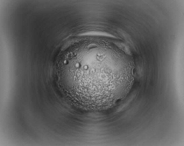 X0000114210367200910161252
