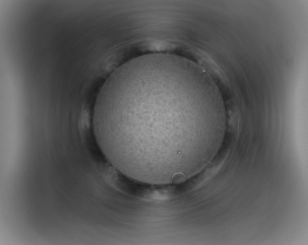 X0000114210368200910161252
