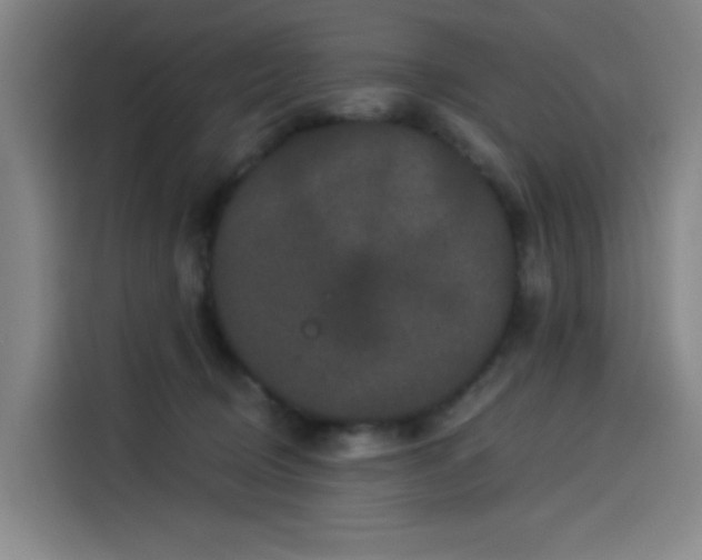 X0000114210370200910161252