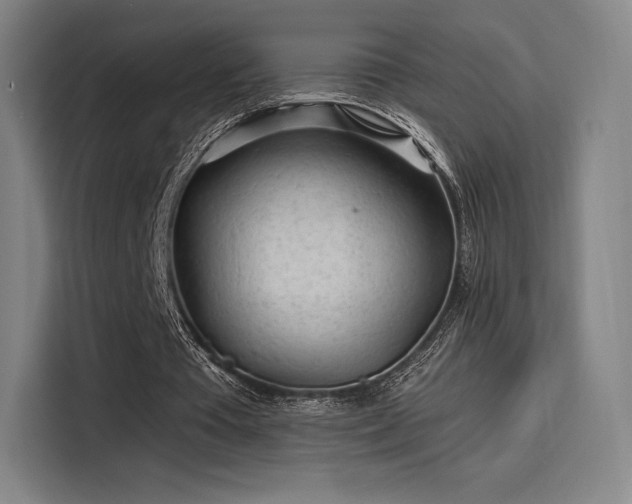 X0000114210385200910161252