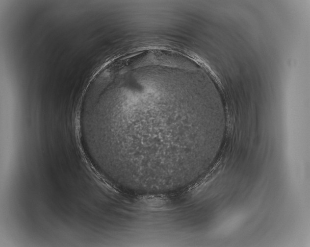 X0000114210386200910161252