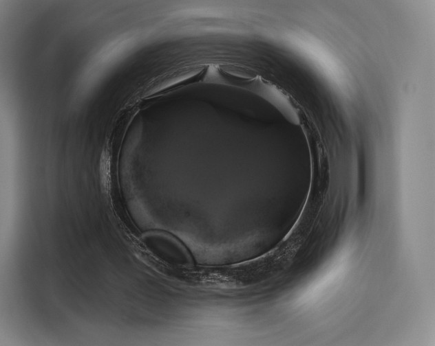 X0000114210387200910161252
