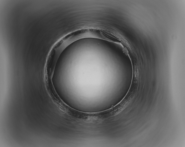X0000114210388200910161252