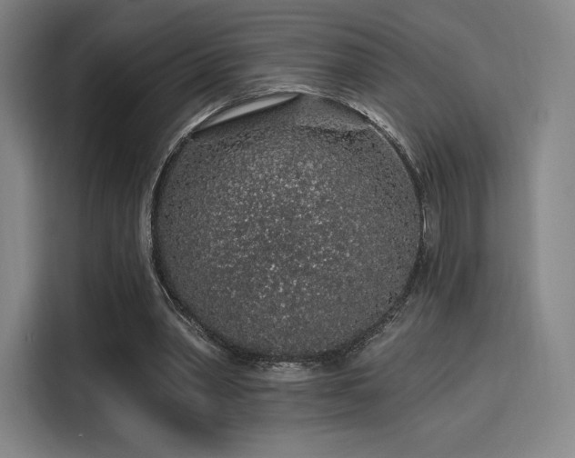 X0000114210390200910161252