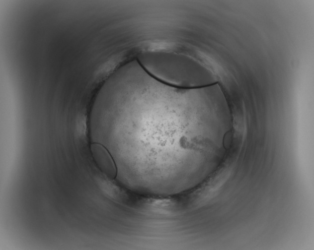 X0000114210401200910161251