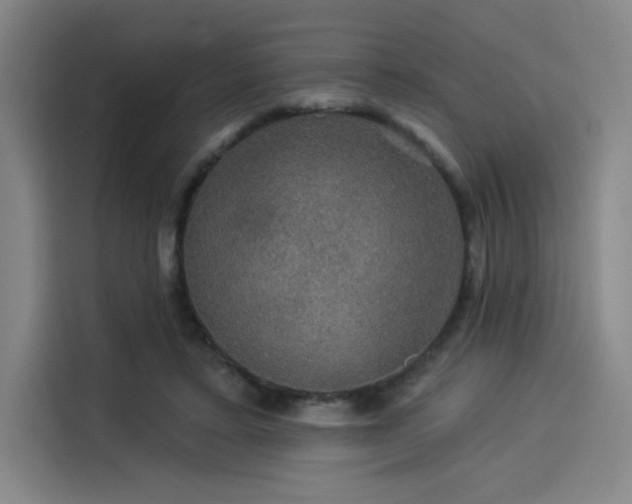 X0000114210403200910161251