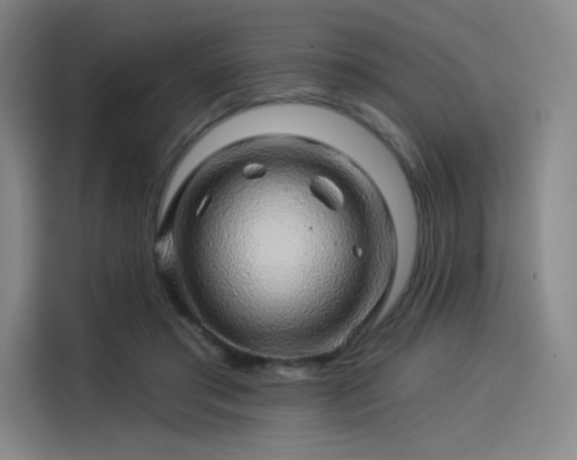 X0000114210405200910161251
