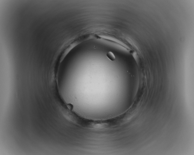X0000114210407200910161251