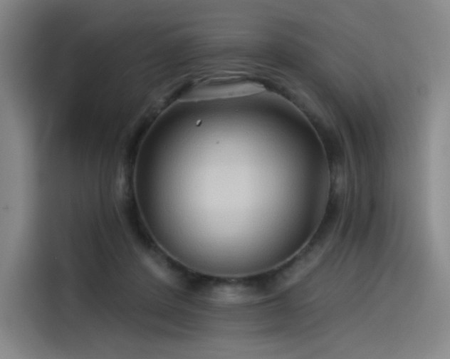 X0000114210408200910161251