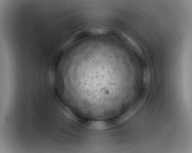 X0000114210409200910161251