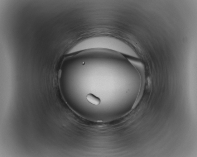 X0000114210411200910161251