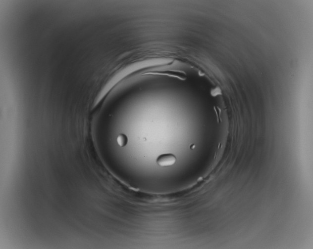 X0000114210413200910161251