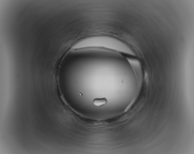 X0000114210415200910161251