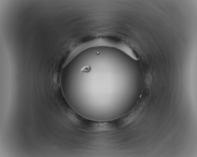 X0000114210428200910161251