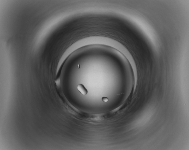 X0000114210431200910161251
