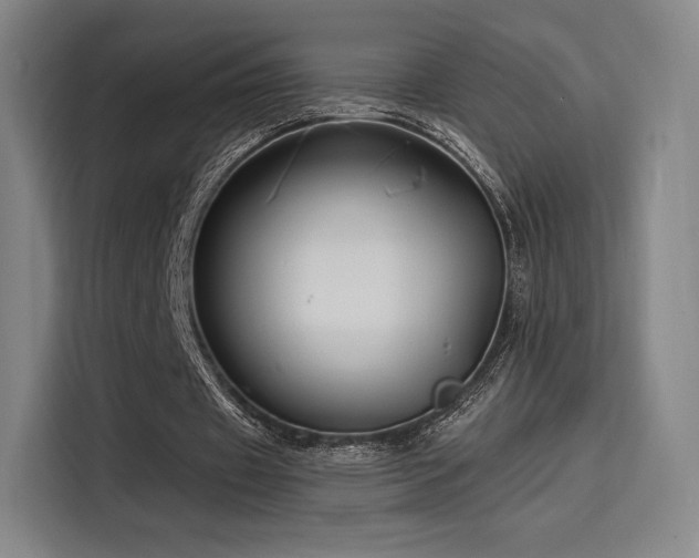 X0000114210433200910161250