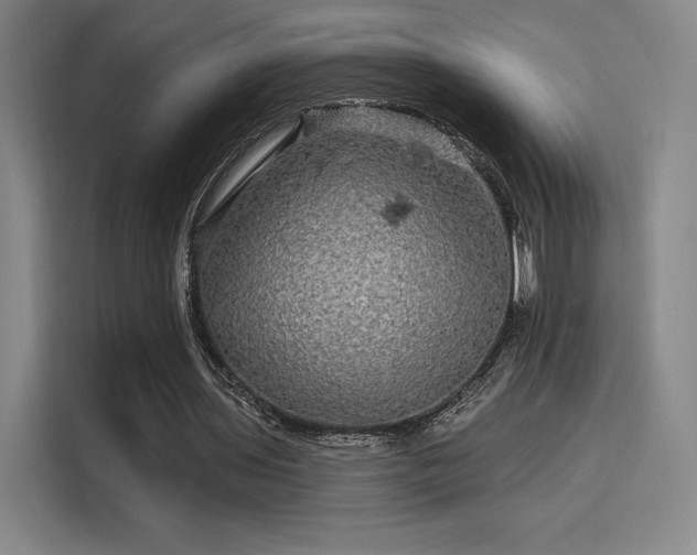 X0000114210435200910161250