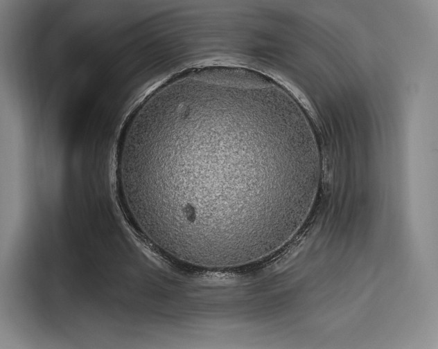 X0000114210437200910161250