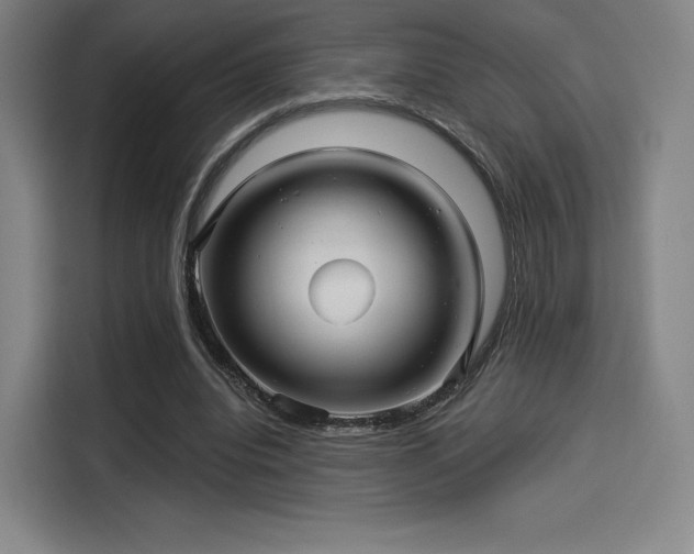X0000114210440200910161250