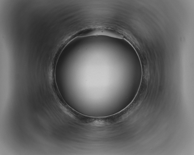 X0000114210441200910161250