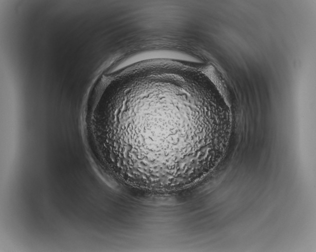 X0000114210443200910161251