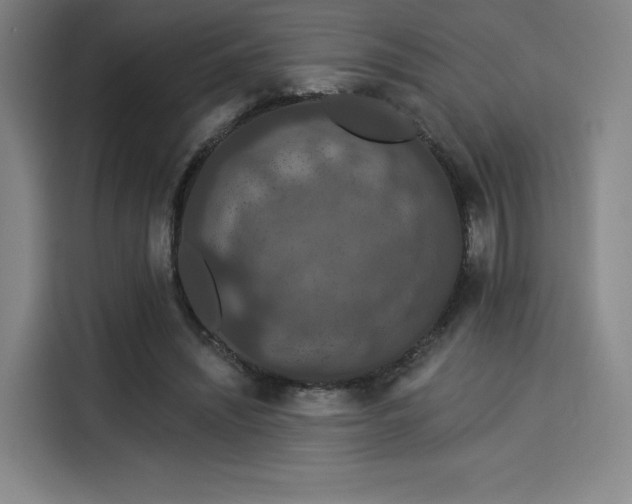 X0000114210444200910161251