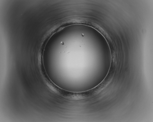 X0000114210445200910161251