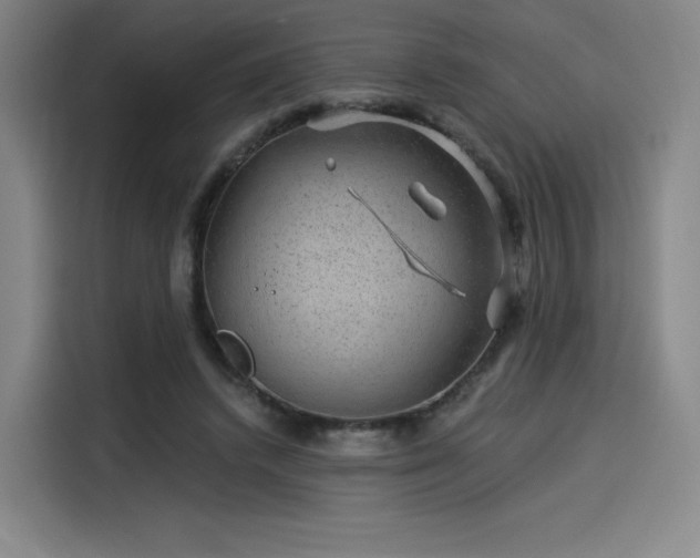 X0000114210448200910161251
