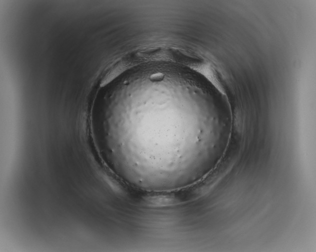 X0000114210449200910161251