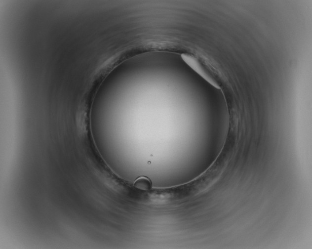 X0000114210450200910161251