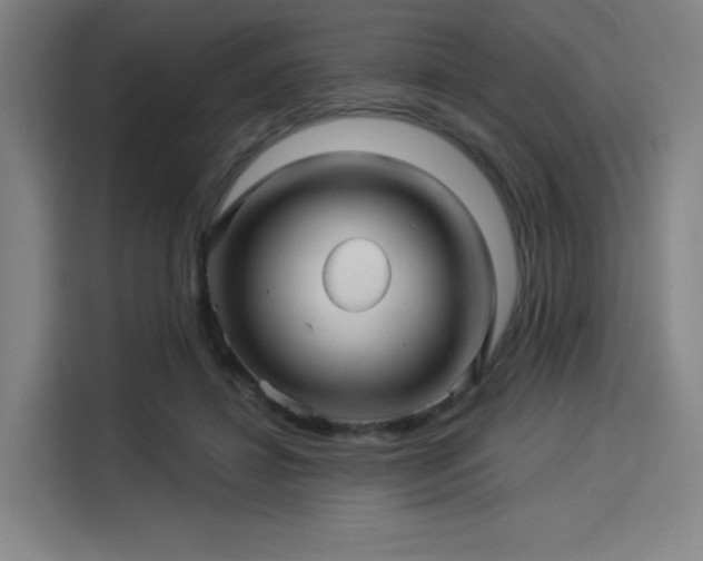X0000114210452200910161251