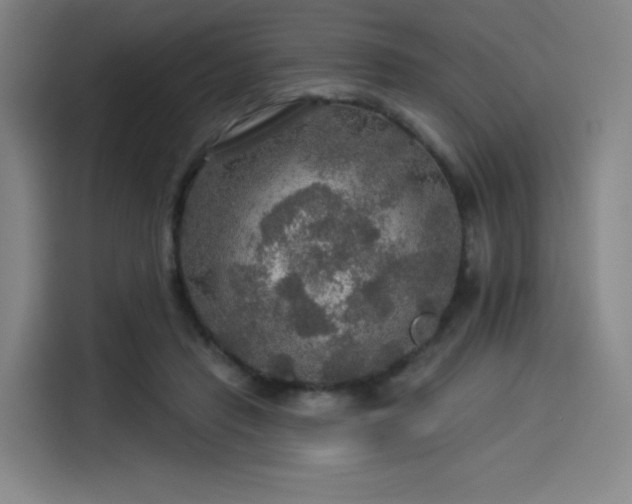 X0000114210453200910161251