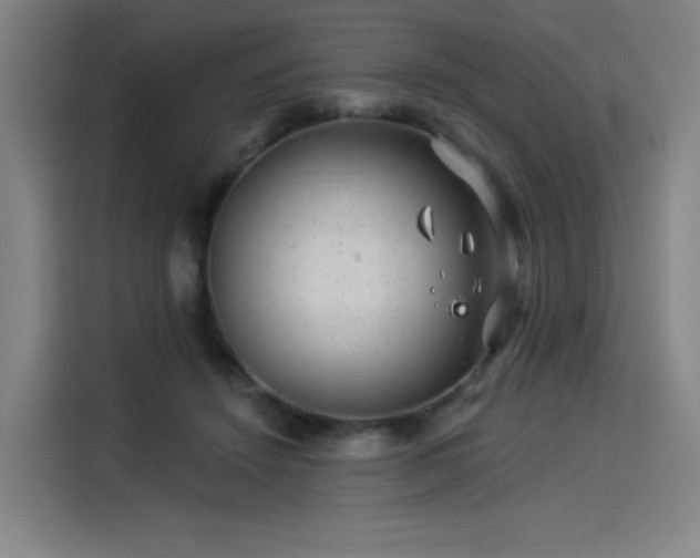 X0000114210456200910161251