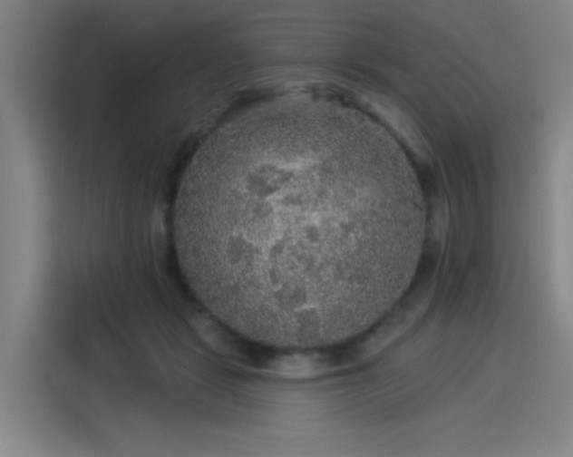 X0000114210461200910161251