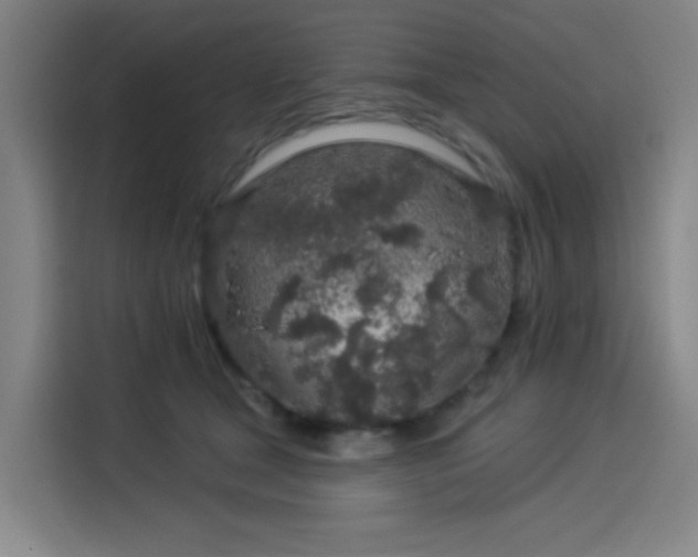 X0000114210465200910161251