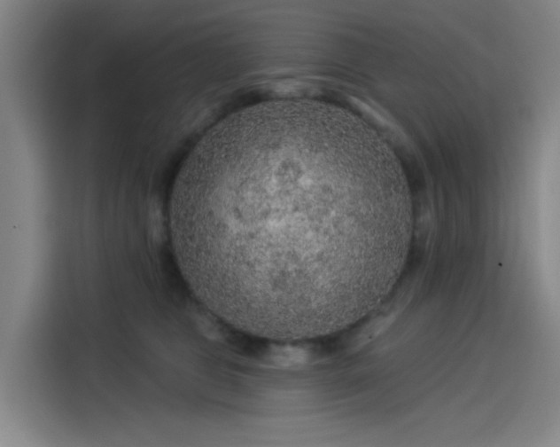 X0000114210469200910161251