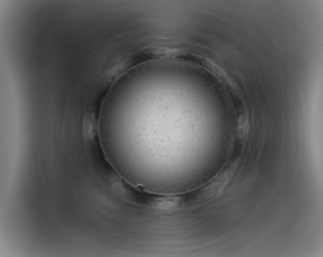 X0000114210474200910161251