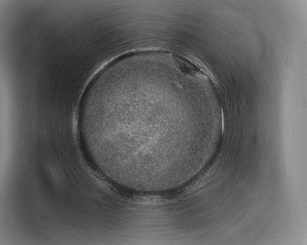 X0000114210483200910161250