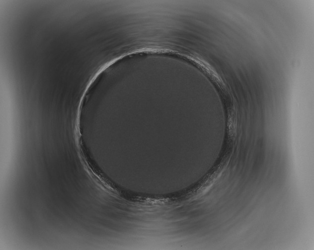 X0000114210484200910161250