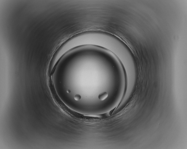 X0000114210485200910161250