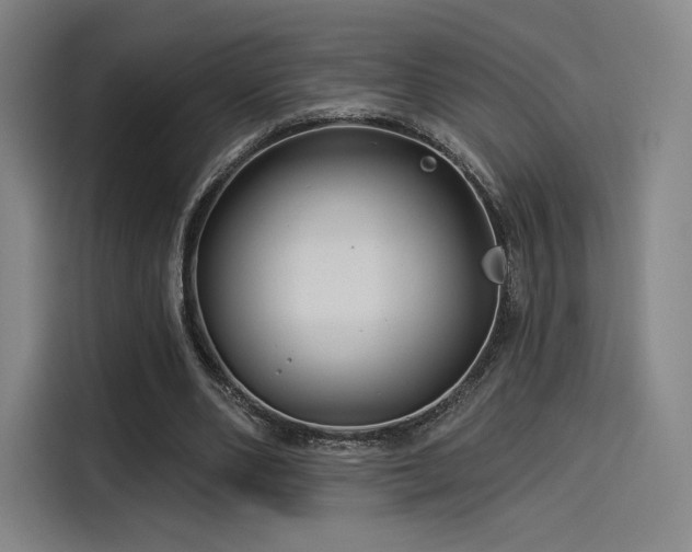 X0000114210486200910161250