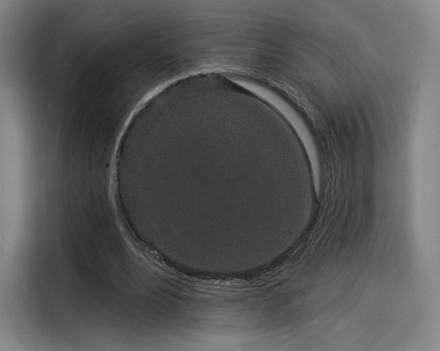 X0000114210488200910161250