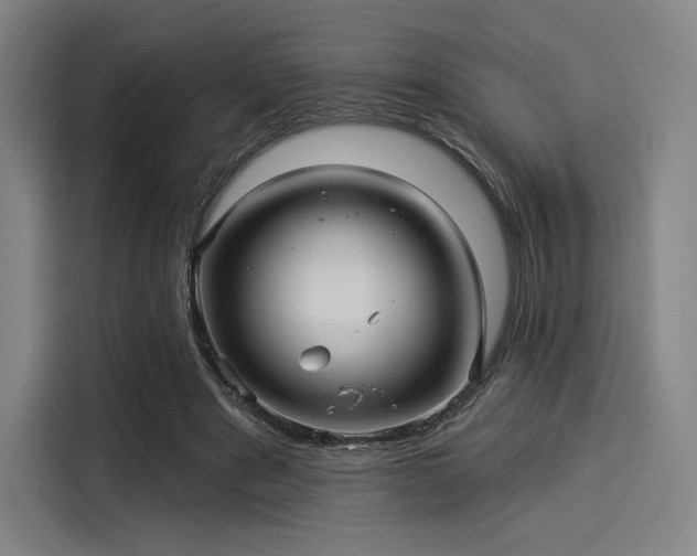 X0000114210489200910161250