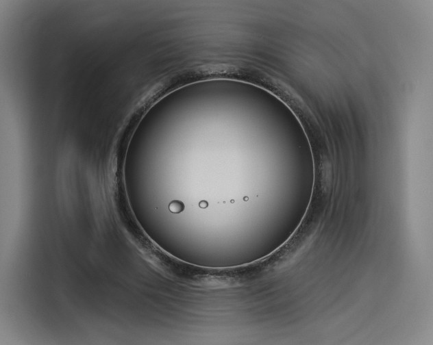 X0000114210490200910161250
