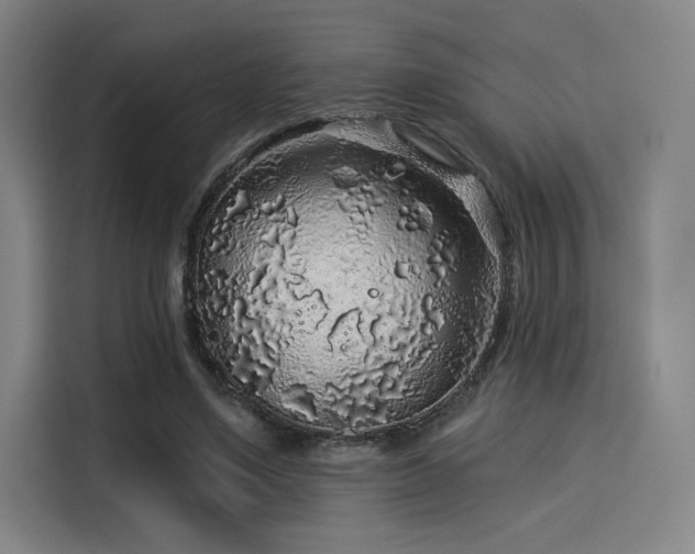 X0000114210491200910161250