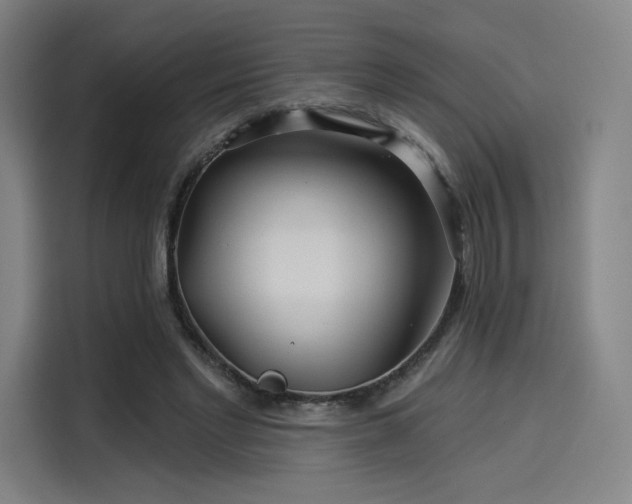 X0000114210493200910161250