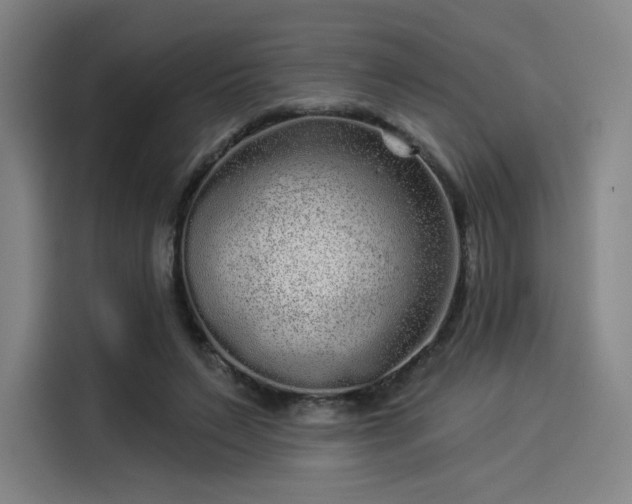 X0000114210495200910161250