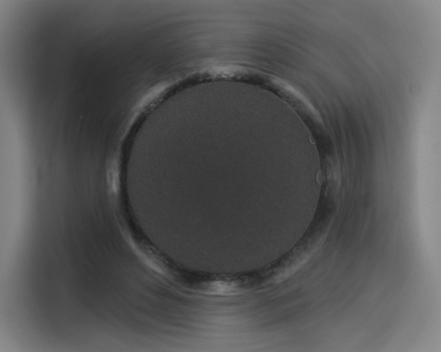 X0000114210496200910161250