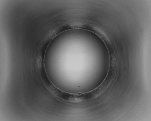 X0000114210498200910161250