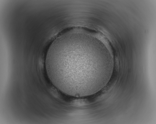 X0000114210499200910161250